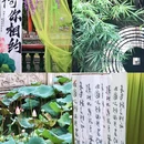 万景楼 - 深圳市旅游 缩略图 5