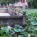 万景楼 - 深圳市旅游 缩略图 8