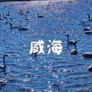 厦门海底世界 - 厦门市旅游 缩略图 7
