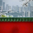 格美Chongqing Memory|自然美学·独栋庭院设计师酒店(重庆解放碑步行街洪崖洞店) - 重庆市旅游 缩略图 5