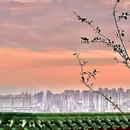格美Chongqing Memory|自然美学·独栋庭院设计师酒店(重庆解放碑步行街洪崖洞店) - 重庆市旅游 缩略图 7