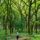 龙鳞坝 - 杭州市旅游 缩略图 4