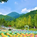 黄姚古镇 - 贺州市旅游 缩略图 5