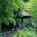 龙潭飞瀑 - 杭州市旅游 缩略图 5