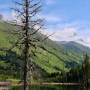 四姑娘山景区 - 阿坝藏族羌族自治州旅游 缩略图 7