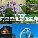 青荷汉服旅拍 - 苏州市旅游 缩略图 1