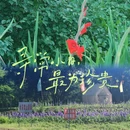 特尼河 - 呼伦贝尔市旅游 缩略图 7