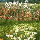 特尼河 - 呼伦贝尔市旅游 缩略图 6