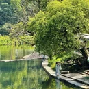 花开幸福里民宿 - 洛阳市旅游 缩略图 7