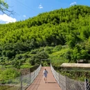 大奇山国家森林公园 - 杭州市旅游 缩略图 4