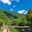 大奇山国家森林公园 - 杭州市旅游 缩略图 5