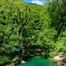 大奇山国家森林公园 - 杭州市旅游 缩略图 8
