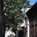 呈坎 - 黄山市旅游 缩略图 4