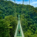 老峨山 - 眉山市旅游 缩略图 4