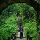 老峨山 - 眉山市旅游 缩略图 5