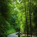 老峨山 - 眉山市旅游 缩略图 1