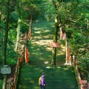 老峨山 - 眉山市旅游 缩略图 6