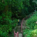 老峨山 - 眉山市旅游 缩略图 8