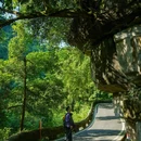 老峨山 - 眉山市旅游 缩略图 9