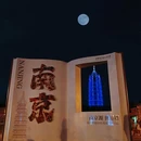 大报恩寺遗址景区 - 南京市旅游 缩略图 8