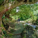 石门国家森林公园 - 广州市旅游 缩略图 1