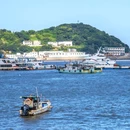 朱家尖白山景区 - 舟山市旅游 缩略图 3