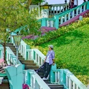 加思栏花园 - 澳门特别行政区旅游 缩略图 9