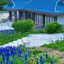 慕色全海景度假美宿(保利金町湾玥海店)-5号楼 - 汕尾市旅游 缩略图 8