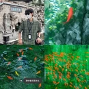 趵突泉公园 - 济南市旅游 缩略图 6
