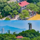 江心屿景区 - 温州市旅游 缩略图 5