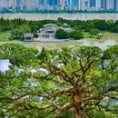 江心屿景区 - 温州市旅游 缩略图 3