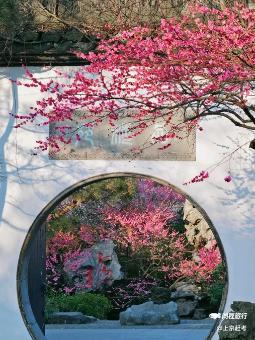 灵峰探梅 - 杭州市旅游