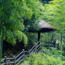 鸬鸟镇 - 杭州市旅游 缩略图 5