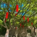 舟山桃花岛风景旅游区 - 舟山市旅游 缩略图 5