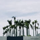 阿萨卡银滩·摩天轮海景度假酒店 - 北海市旅游 缩略图 4