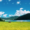 普达措国家公园 - 迪庆藏族自治州旅游 缩略图 7