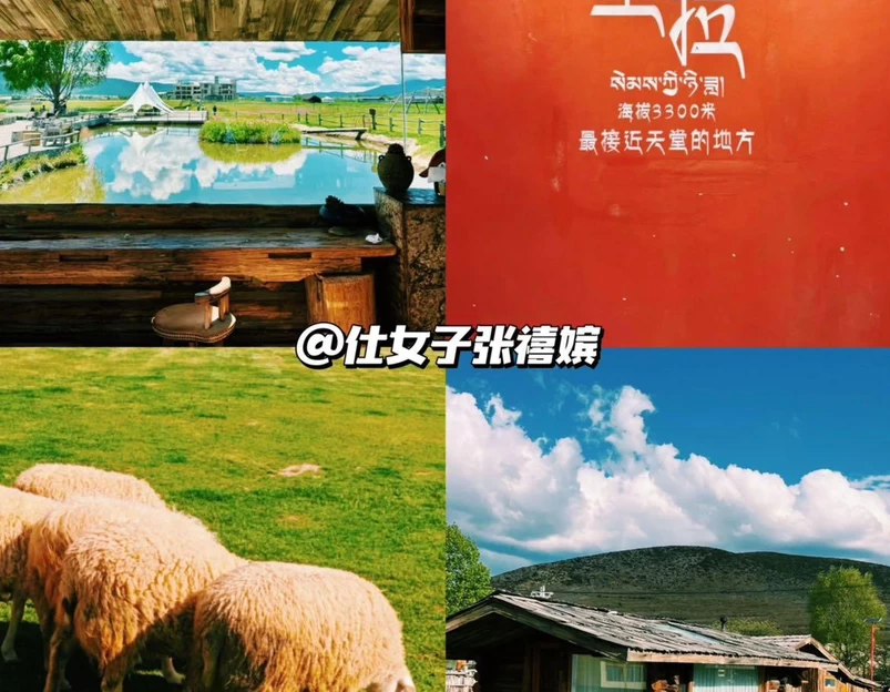 纳帕海景区 - 迪庆藏族自治州旅游 1