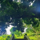 广州市帽峰山景区 - 广州市旅游 缩略图 2