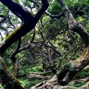 广州市帽峰山景区 - 广州市旅游 缩略图 6