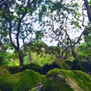 广州市帽峰山景区 - 广州市旅游 缩略图 9