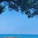 青岛雕塑园 - 青岛市旅游 缩略图 7