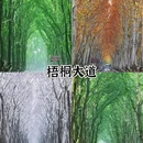 南京夫子庙 - 南京市旅游 缩略图 8
