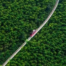 南山竹海-索道 - 常州市旅游 缩略图 4
