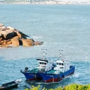 温州南麂岛 - 温州市旅游 缩略图 1