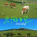 额尔古纳市 - 呼伦贝尔市旅游 缩略图 9