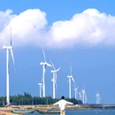 南极村游客服务中心 - 湛江市旅游 缩略图 5