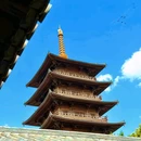 上海宝山寺 - 上海市旅游 缩略图 3