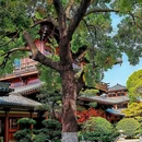 上海宝山寺 - 上海市旅游 缩略图 4