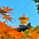 上海宝山寺 - 上海市旅游 缩略图 7