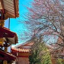 梅峰光孝寺 - 莆田市旅游 缩略图 8